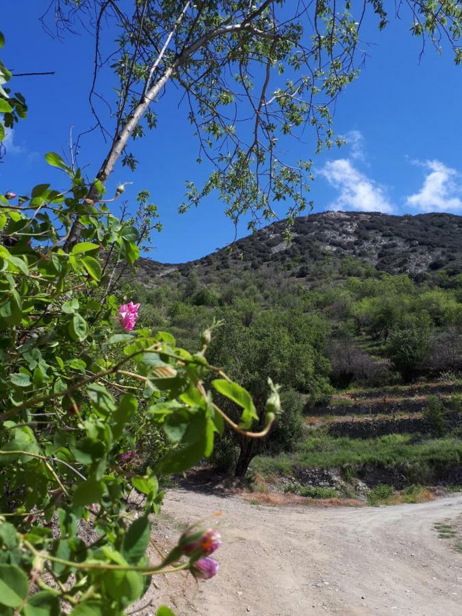 Agrompelo House Villa Agros Buitenkant foto